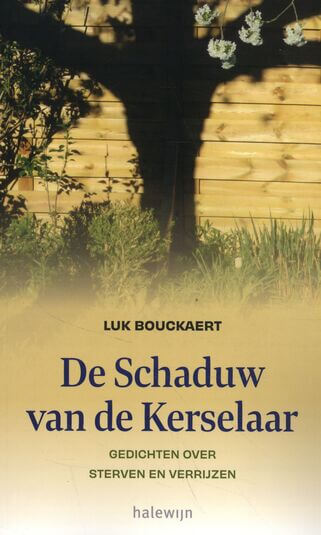 De schaduw van de kerselaar