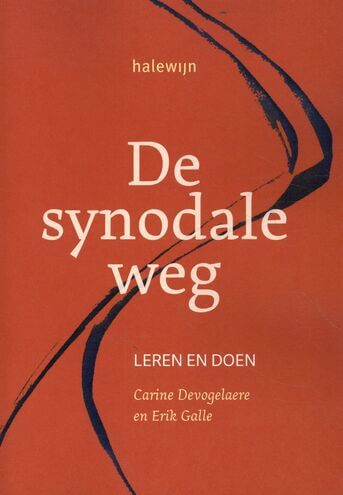 De synodale weg