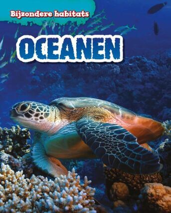 Oceanen