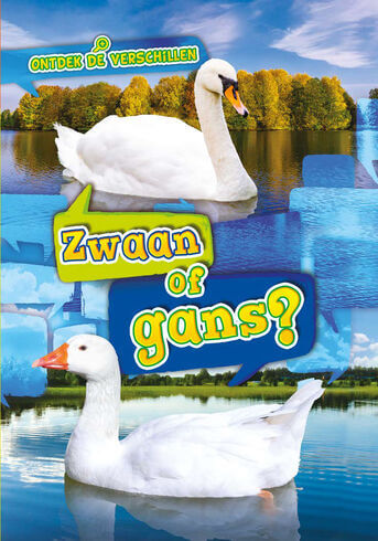 Zwaan of gans?