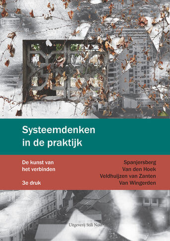 Systeemdenken in de praktijk