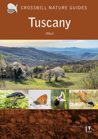 Crossbill Guide Tuscany