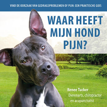 Waar heeft mijn hond pijn?