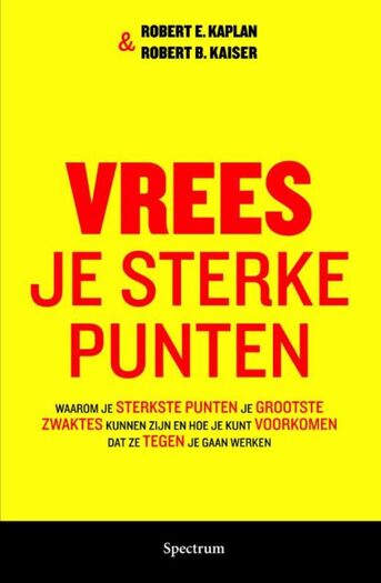 Vrees je sterke punten (e-book)