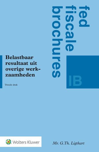 Belastbaar resultaat uit overige werkzaamheden (e-book)