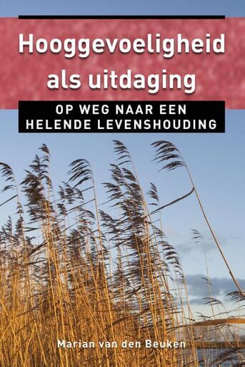 Hooggevoeligheid als uitdaging (e-book)