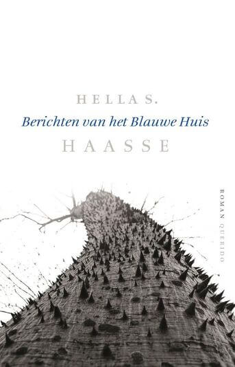 Berichten van het Blauwe Huis (e-book)