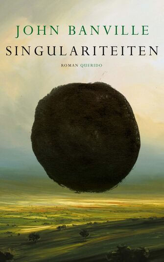 Singulariteiten (e-book)