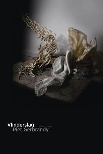 Vlinderslag (e-book)