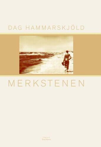 Merkstenen (e-book)