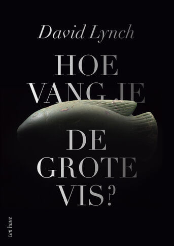 Hoe vang je de grote vis? (e-book)