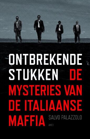 Ontbrekende stukken (e-book)