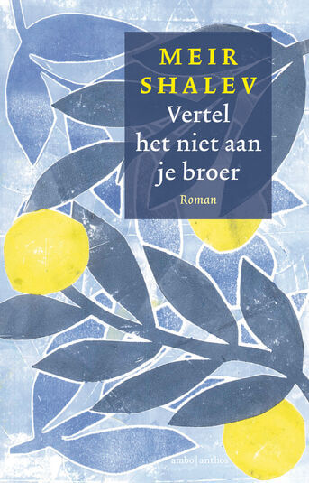 Vertel het niet aan je broer (e-book)