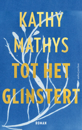 Tot het glinstert (e-book)