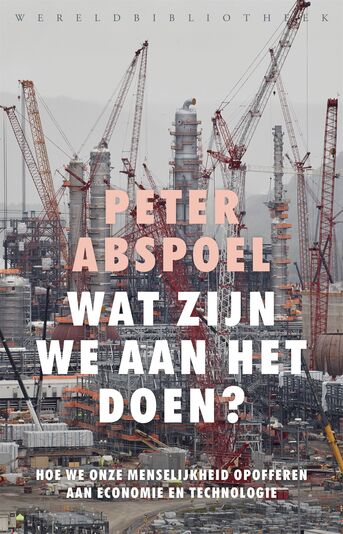 Wat zijn we aan het doen? (e-book)