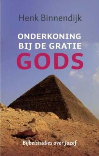 Onderkoning bij de gratie Gods (e-book)