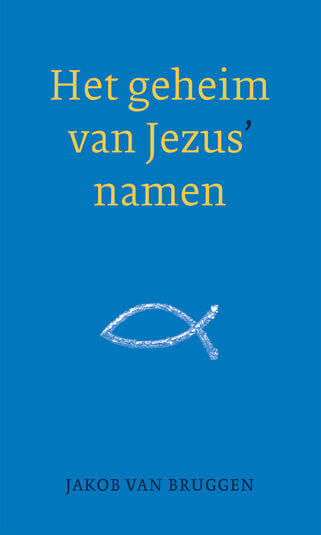 Het geheim van Jezus&#039; namen (e-book)