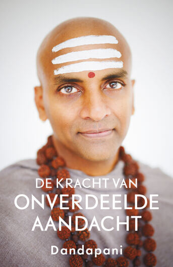 De kracht van onverdeelde aandacht (e-book)