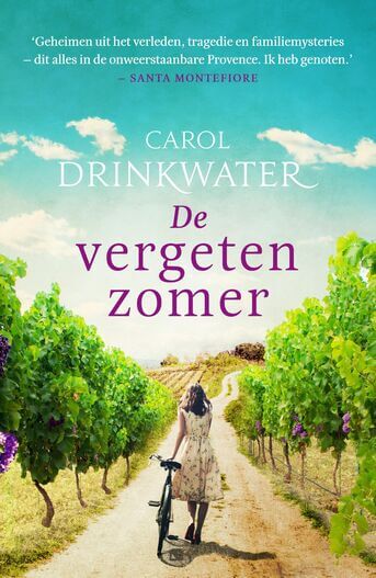 De vergeten zomer (e-book)