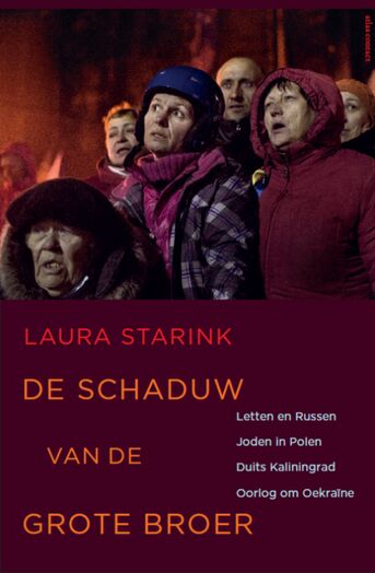 De schaduw van de grote broer (e-book)