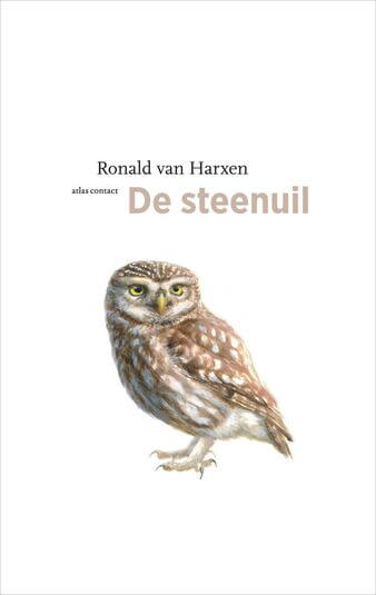 De steenuil (e-book)