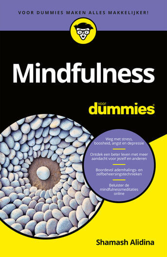 Mindfulness voor Dummies (e-book)