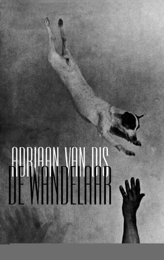 De wandelaar (e-book)