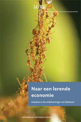 Naar een lerende economie (e-book)