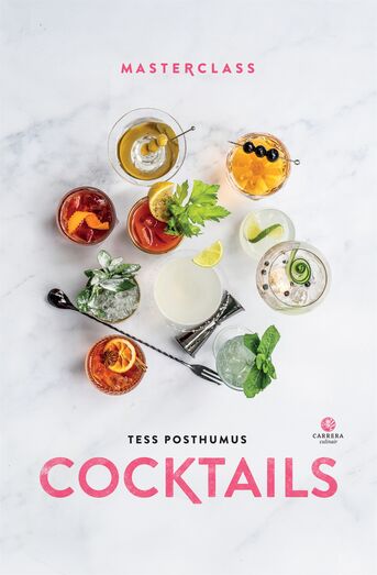 Cocktails (e-book)