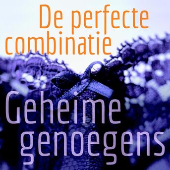 De perfecte combinatie (e-book)