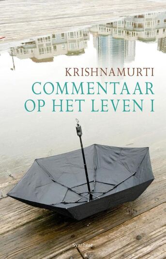 Commentaar op het leven (e-book)