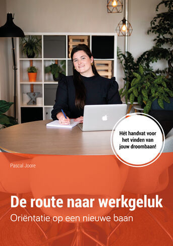 Oriëntatie op een nieuwe baan (e-book)