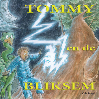 Tommy en de bliksem (e-book)