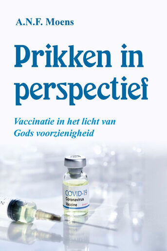 Prikken in perspectief (e-book)