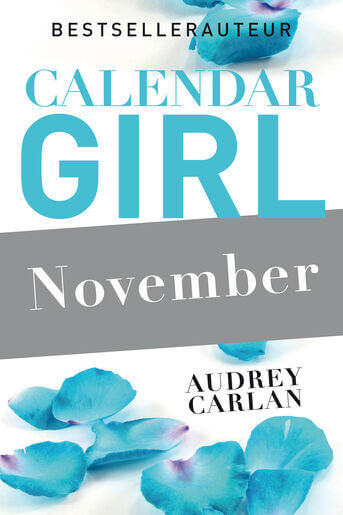 November (e-book)