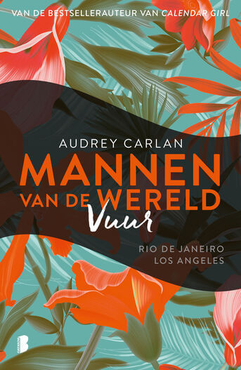 Vuur (e-book)