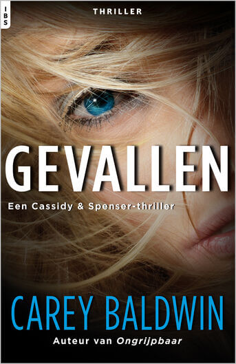 Gevallen (e-book)