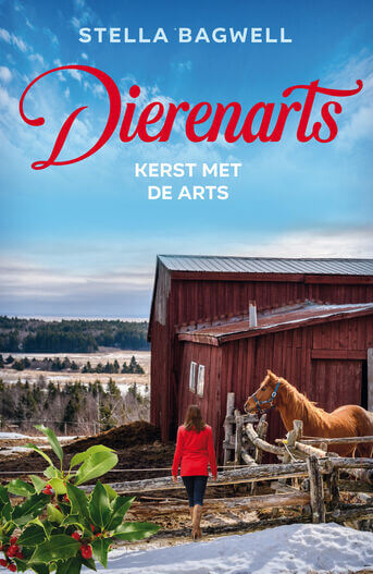 Kerst met de arts (e-book)