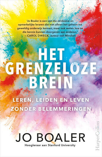 Het grenzeloze brein (e-book)