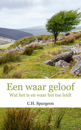 Een waar geloof (e-book)