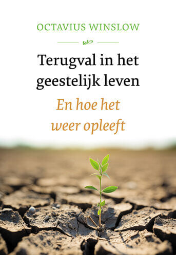 Terugval in het geestelijk leven (e-book)