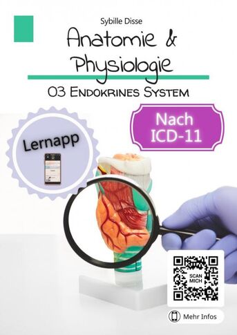 Anatomie Physiologie Band 03: Endokrines System (e-book)