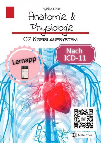 Anatomie &amp; Physiologie Band 07: Kreislaufsystem (e-book)