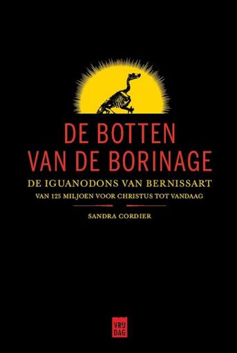 De botten van de Borinage (e-book)