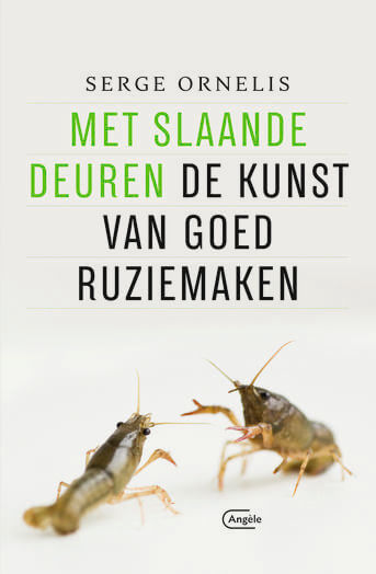 Met slaande deuren (e-book)