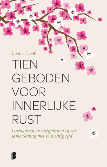 Tien geboden voor innerlijke rust (e-book)