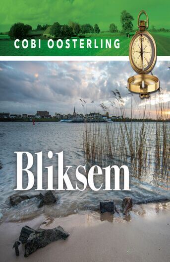 Bliksem (e-book)