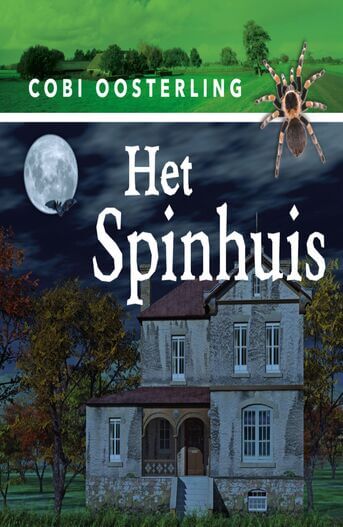 Het spinhuis (e-book)