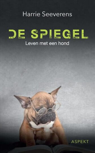 De Spiegel (e-book)