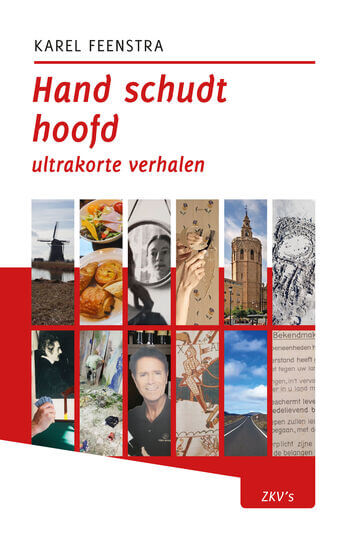 Hand schudt hoofd (e-book)